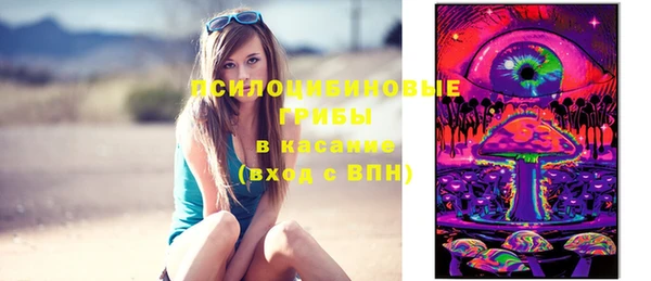 соль ск Алексеевка