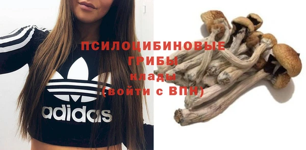 герыч Алексин
