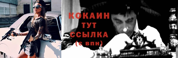 соль ск Алексеевка
