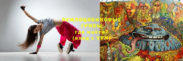 герыч Алексин