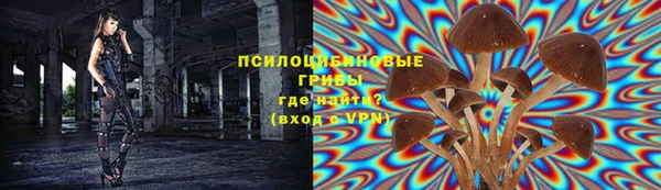 соль ск Алексеевка