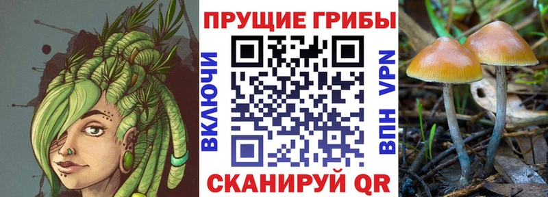 Галлюциногенные грибы GOLDEN TEACHER  Ивдель 